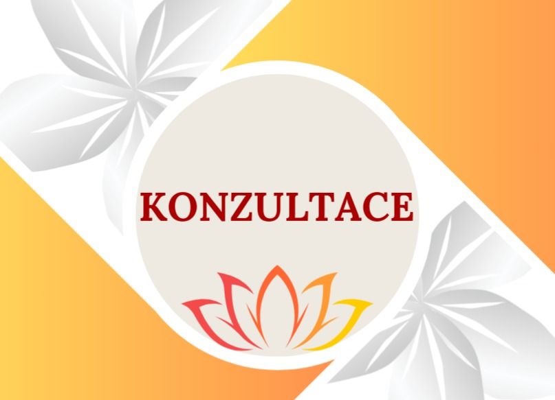 KONZULTACE VAŠICH OBTÍŽÍ